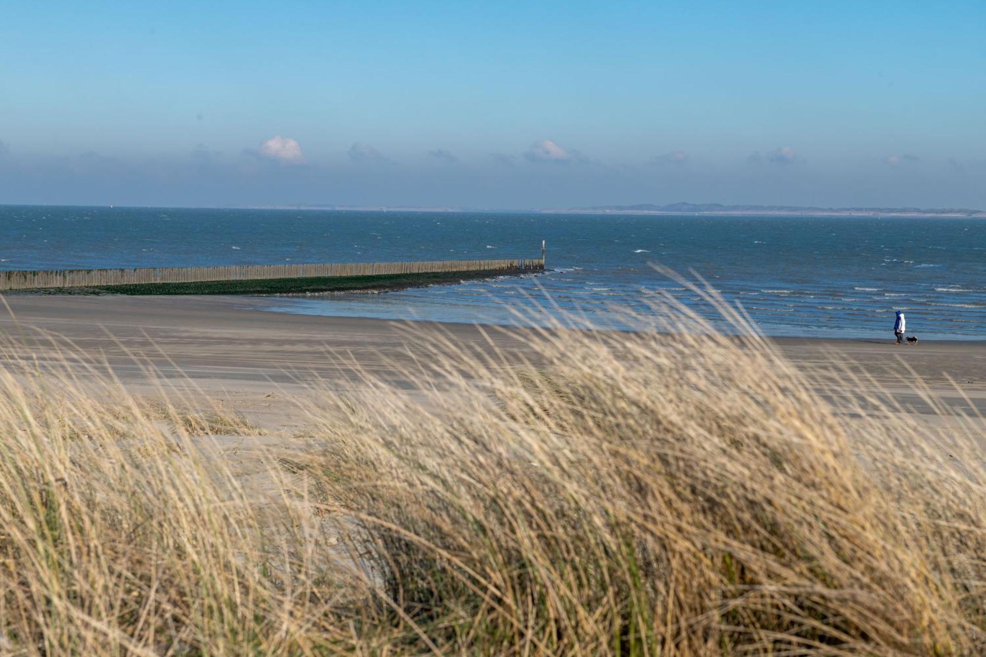 Kustverhuur, Groede, Paarlhof 17 Kültér fotó